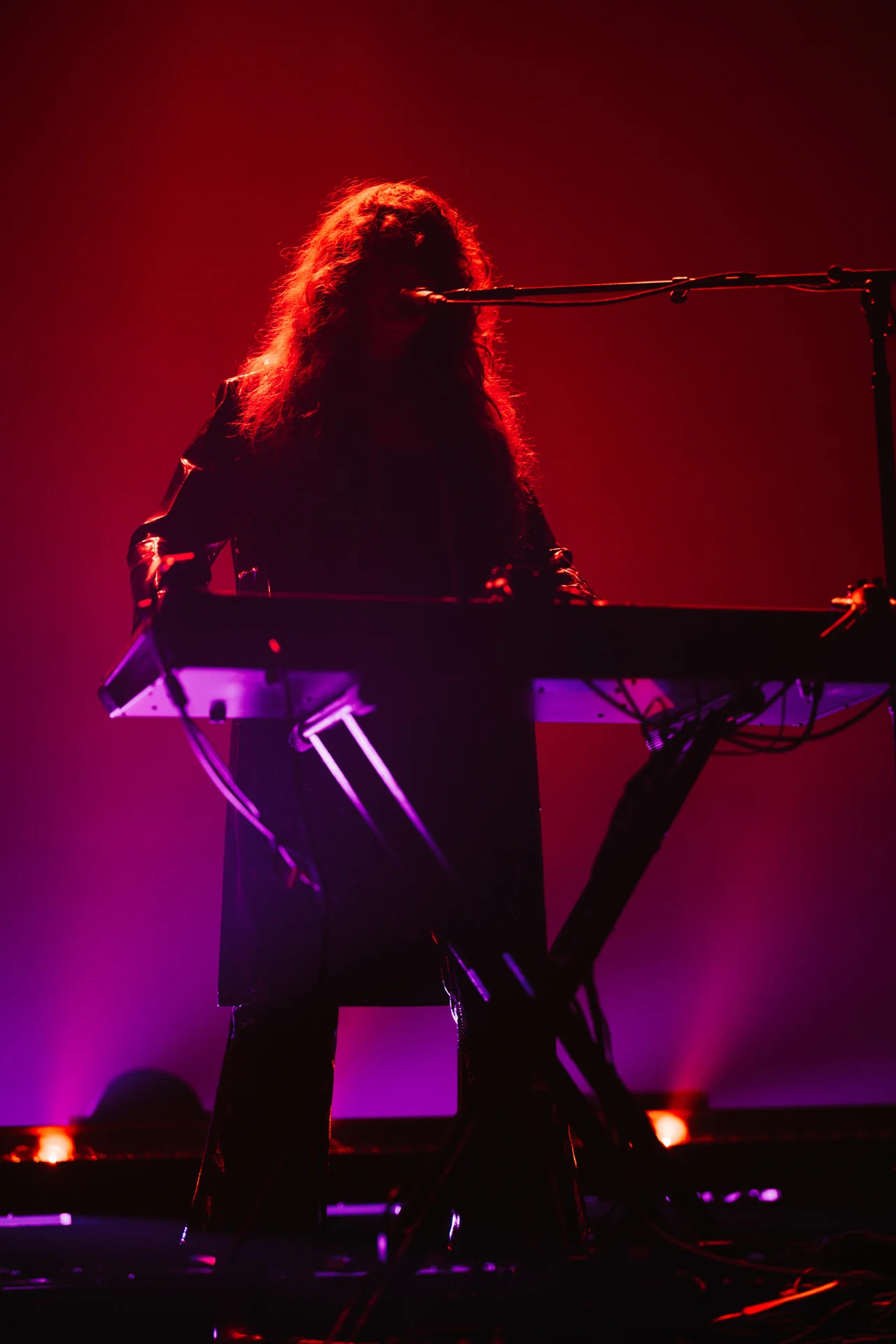 Beach House Concert - photo 16 of 38